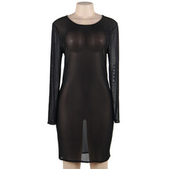 Lingerie Mesh Dress
